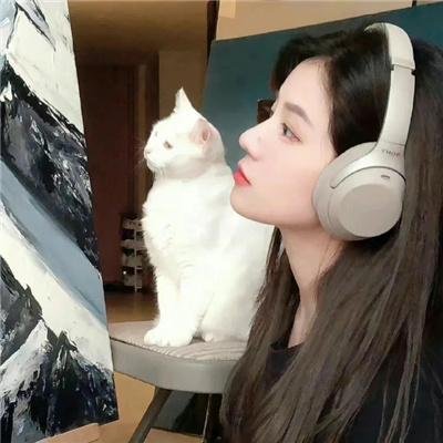 完美无缺